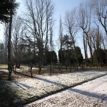 Acacia/orchidee 2-4p Appartement