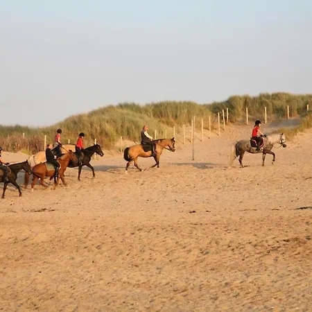 Appartement Acacia/orchidee 2-4p *