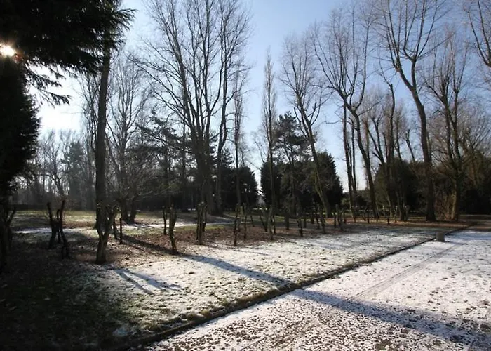 Acacia/orchidee 2-4p Appartement