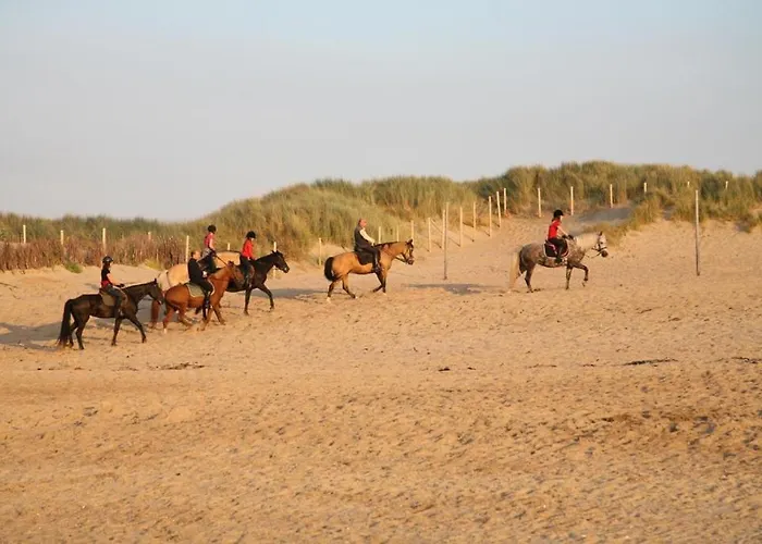 Lägenhet Acacia/orchidee 2-4p *